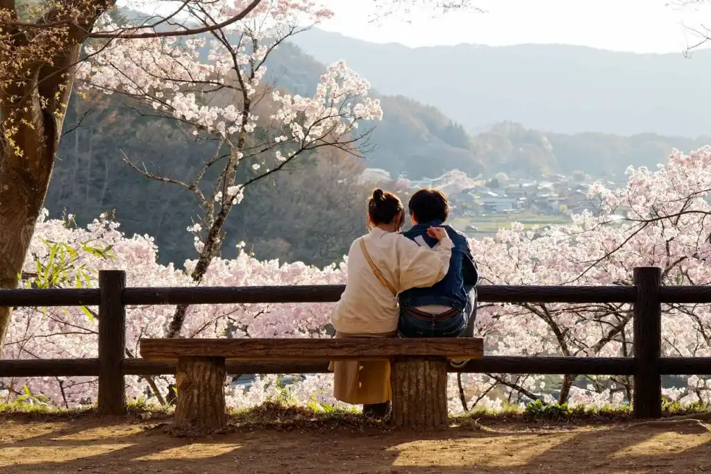 honeymoon Kyoto honeymoon Kyoto